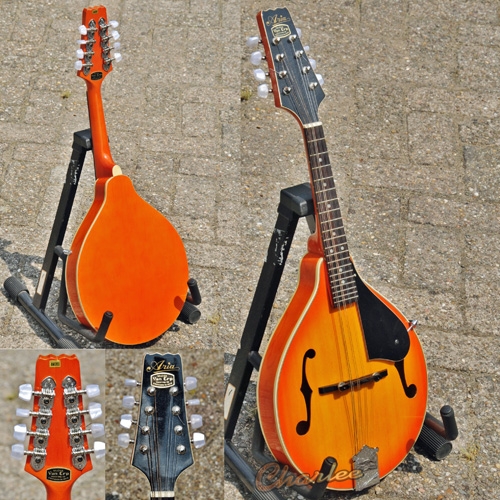Aria AM-200 venetian mandolin